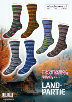 Fortissima Color - Landpartie - 4fach 