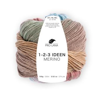 Pro Lana 1-2-3 Ideen Merino 02 hellblau/braun/oliv