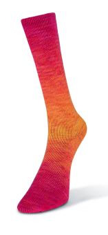 Laines du Nord Watercolor Sock 202